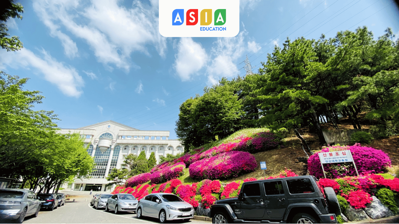 TRƯỜNG ĐẠI HỌC ANSAN HÀN QUỐC 